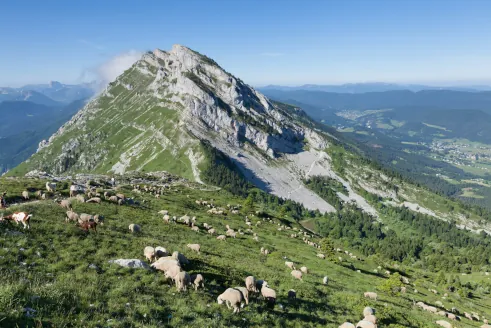 puy de sancy
